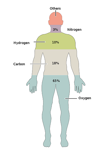 201_Elements_of_the_Human_Body.02.svg